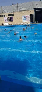 استخر روباز آفتابگردان