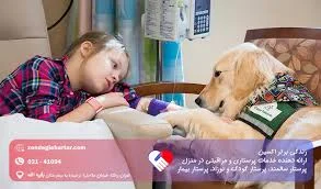 پانسیون گربه نورا | Pansion Noora