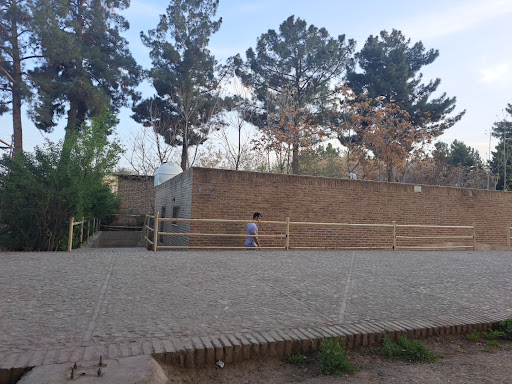 سرویس بهداشتی