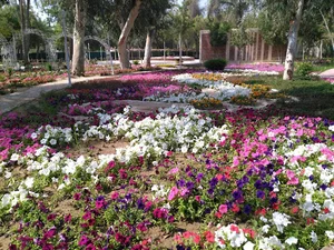 باغ گل‌ها