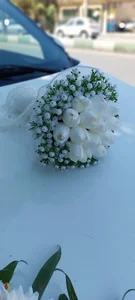 گلفروشی آرالیا