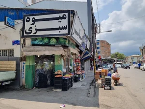میوه فروشی جالیز چالوس