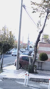 والیبال 2