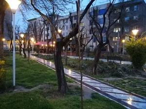 بوستان شفق
