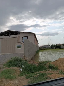 سورتینگ عمویی