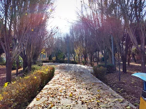 بوستان معرفت-اقیانوس