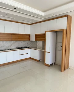 آریو کابین