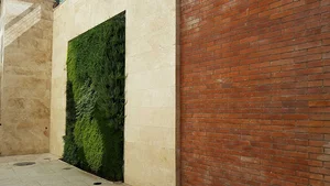 دیوار سبز | Hi Greenwall