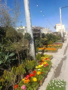 گلخانه یاسمن