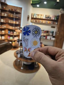 ماگشاپ امیریه 4