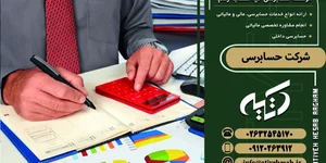 ارائه خدمات حسابرسی و مشاوره مدیریت مالی
