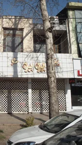 پیتزا پوپو 2