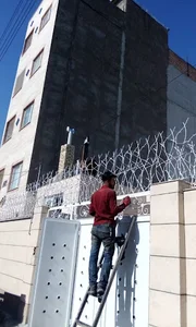 شاخ گوزنی آرامش