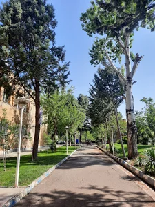 دانشگاه علوم پزشکی قزوین