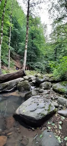 Makarud Forest Park