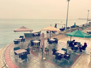 کافه دلفین 2