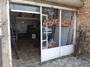 اکسل و گاردان حمید 2