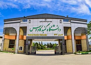 آکادمی شطرنج کایسا
