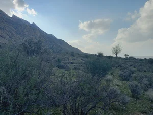 مناطق حفاظت شده میانجنگل