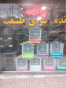 پرنده فروشی طبیعت