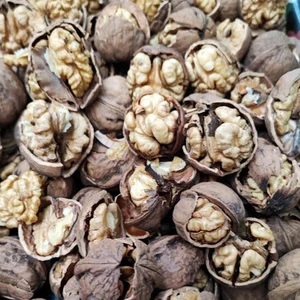 گردو تویسرکان (لشینی)