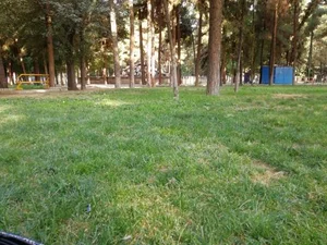 پارک یاسمن 2