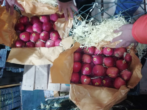 سردخانه قهرمانی_Ghahremani coldstore