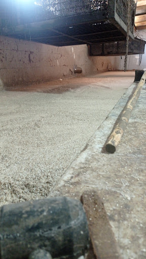 کارگاه ارده و کنجد طلایی