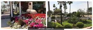زیباترین جاهای دیدنی الوکره قطر را بشناسید!