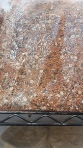 نان فانتزی نانک 4