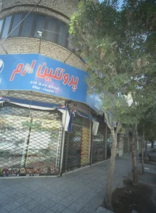 پروتئین ارم