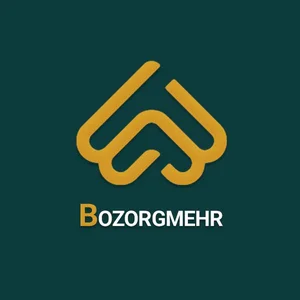 آژانس دیجیتال مارکتینگ بزرگمهر 2
