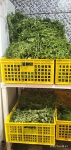 سبزی فروشی رحیمی