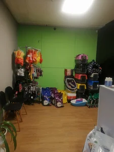 Golden pet clinic