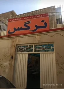 دبستان و پیش دبستانی غیر دولتی دخترانه نرگس 2