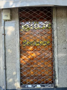 گالری سناتور