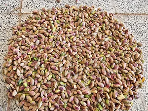 شرکت خوشه طلای سبز