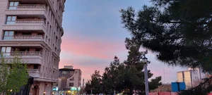 استادان