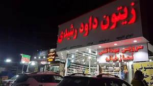 زیتون داوود رشیدی