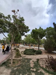 بوستان ملت 5