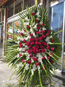 گل رزیتا یزد