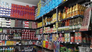 مواد غذایی امین
