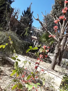 بیمارستان فیروزگر 3