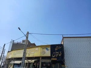 شیرین عسل 3