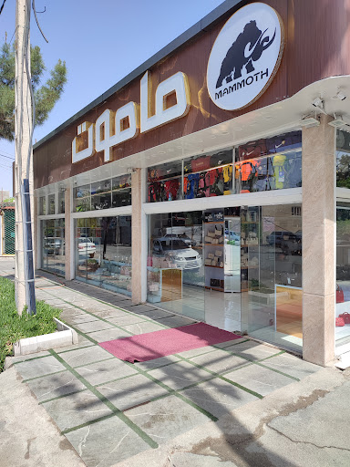 ماموت