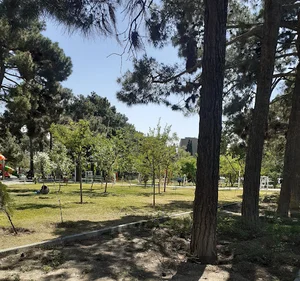 بوستان یاس