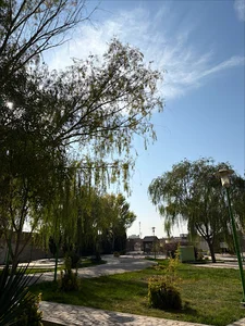 باغ بانوان