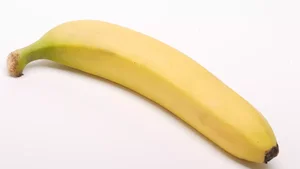 مدرسه قدیم جهانبانی