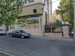 دکتر فرحناز ترکستانی