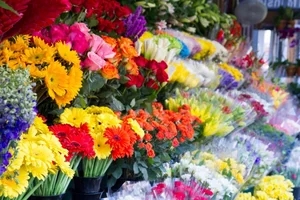 گلفروشی رز گاردن